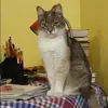 Отзыв от Дарья Абрамова